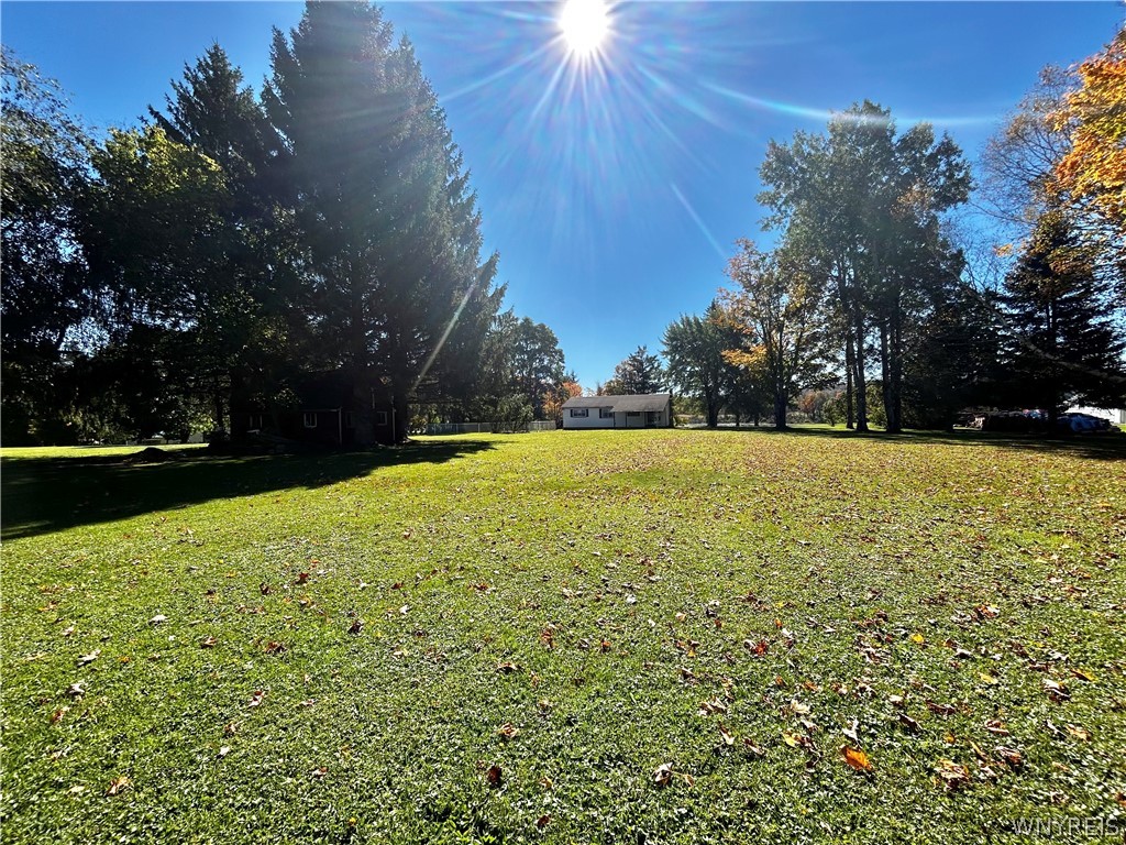 3564 Roszyk Hill Road Machias, NY 14101 - Photo 20 of 20 Mature trees frame a vast green lawn under wide op
