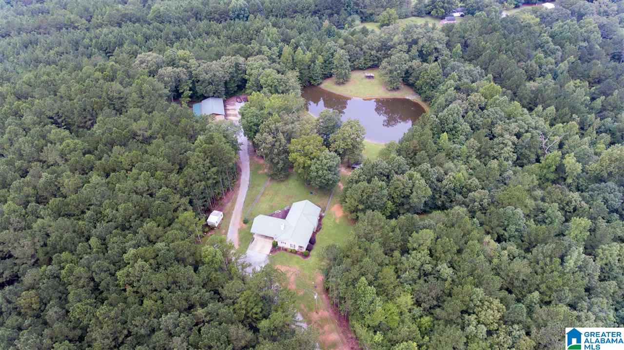 390 Mountainview Road Wellington, AL 36279 - Photo 1 of 44 Gallery Image 1