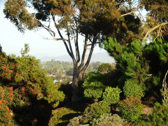 $1,999,999 | 407 Via Ultimo, Encinitas, CA 92024