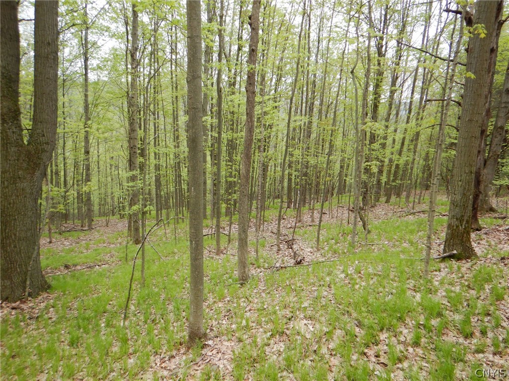Wightman Road Wellsville, NY 14895 - Photo 38 of 45