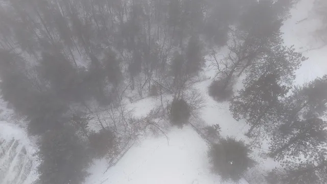 $430,000 | N1240 Otter Ponds Lane, Keshena, WI 54135