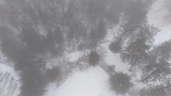 $430,000 | N1240 Otter Ponds Lane, Keshena, WI 54135