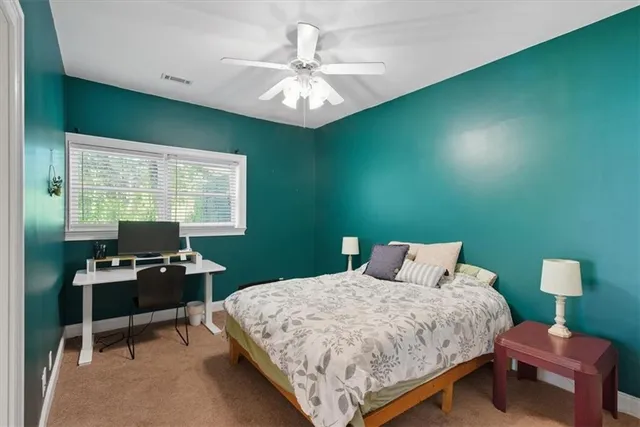 a green field with lots of bushes