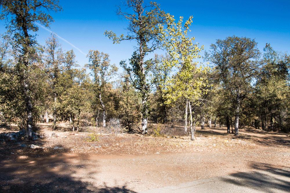 8056 Gold Run Road Redding, CA 96001 - Photo 38 of 42 Property