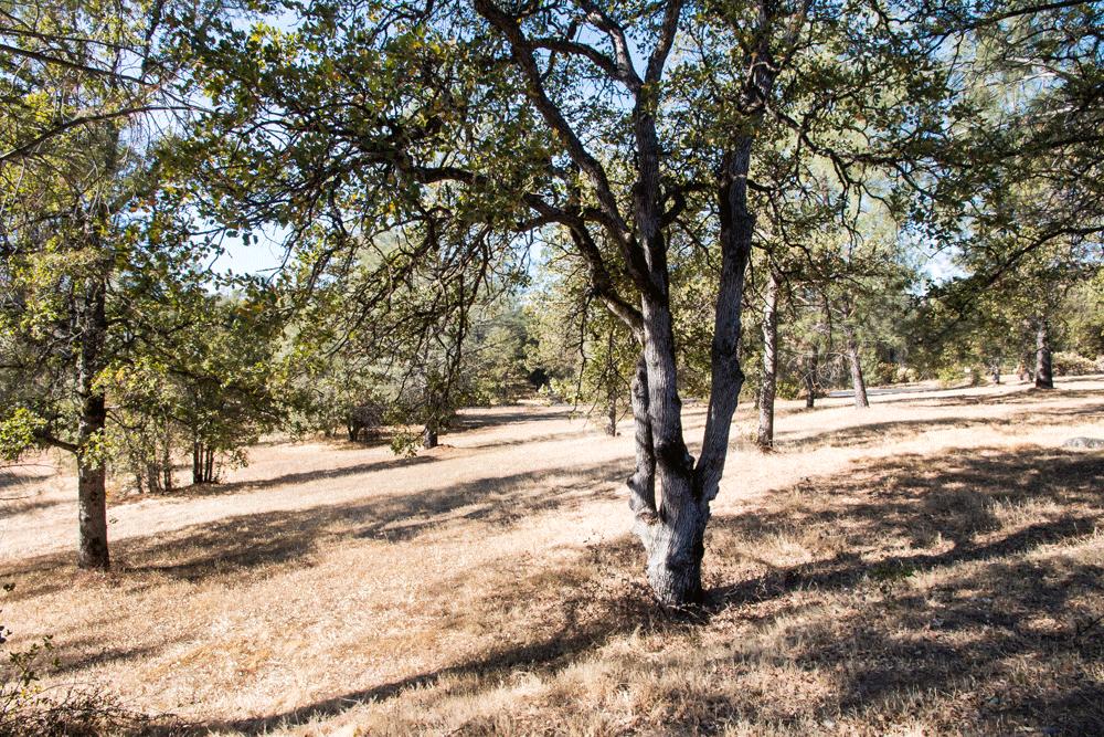 8056 Gold Run Road Redding, CA 96001 - Photo 39 of 42 Property