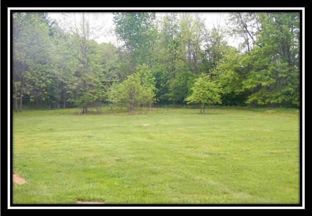 1270 Flag Dale Road Northwest Junction City, OH 43748 - Photo 3 of 11