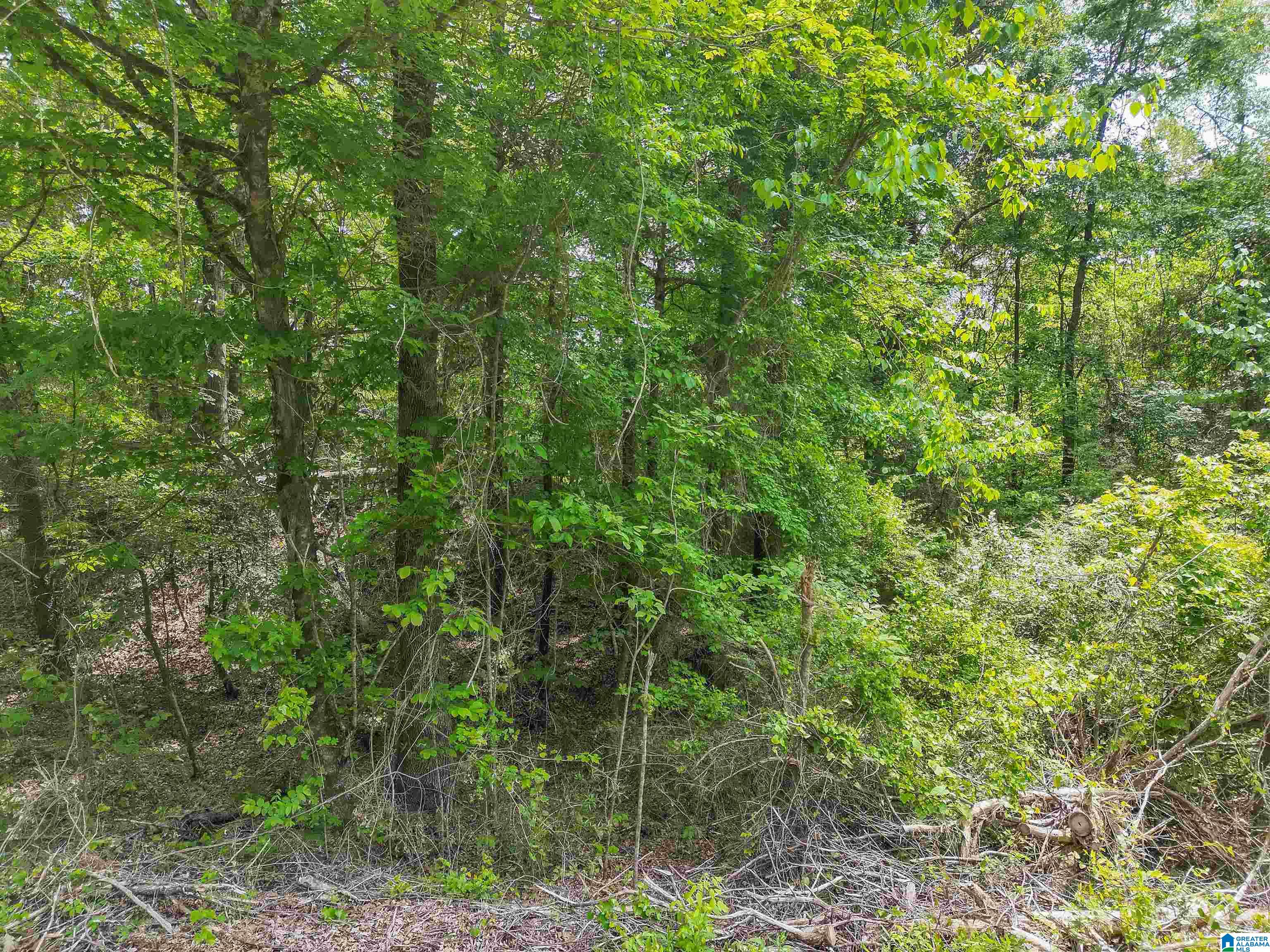 0 Moreland Road, Unit 1 Brierfield, AL 35035 - Photo 5 of 15