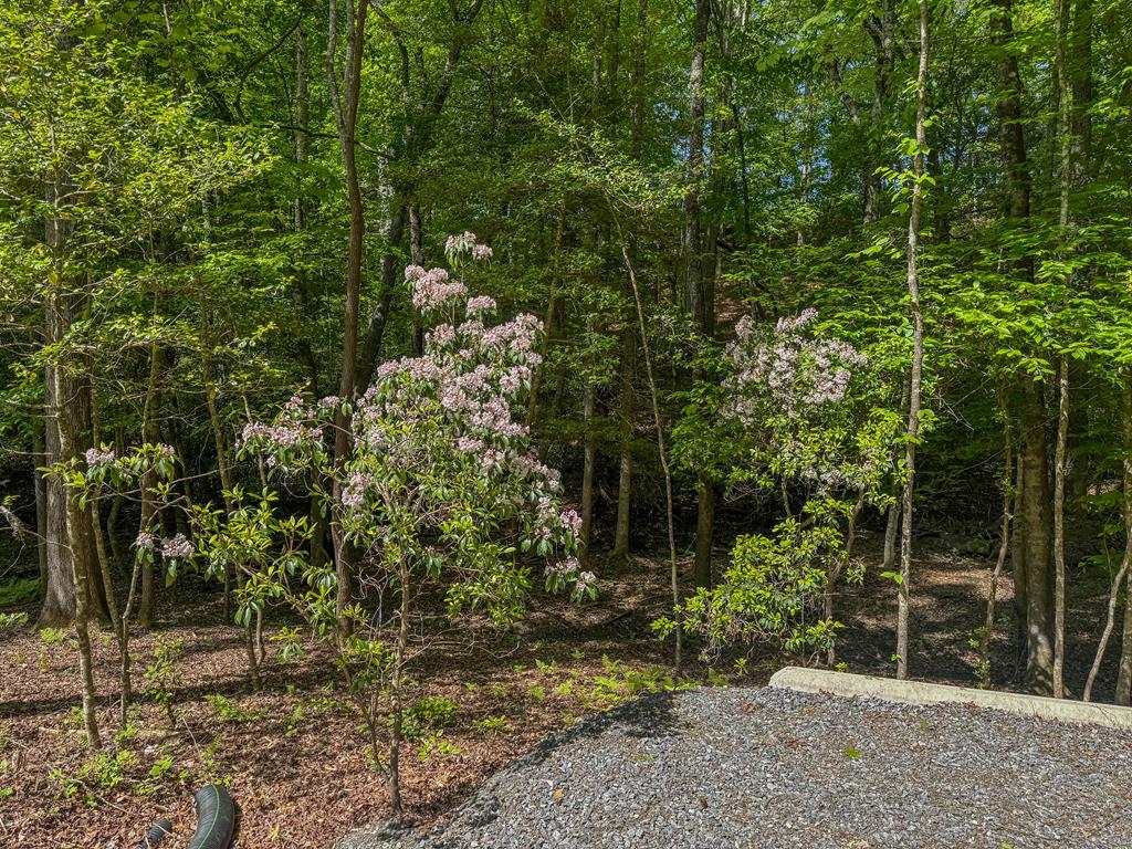 1254 Friendship Church Road Murphy, NC 28906 - Photo 43 of 47