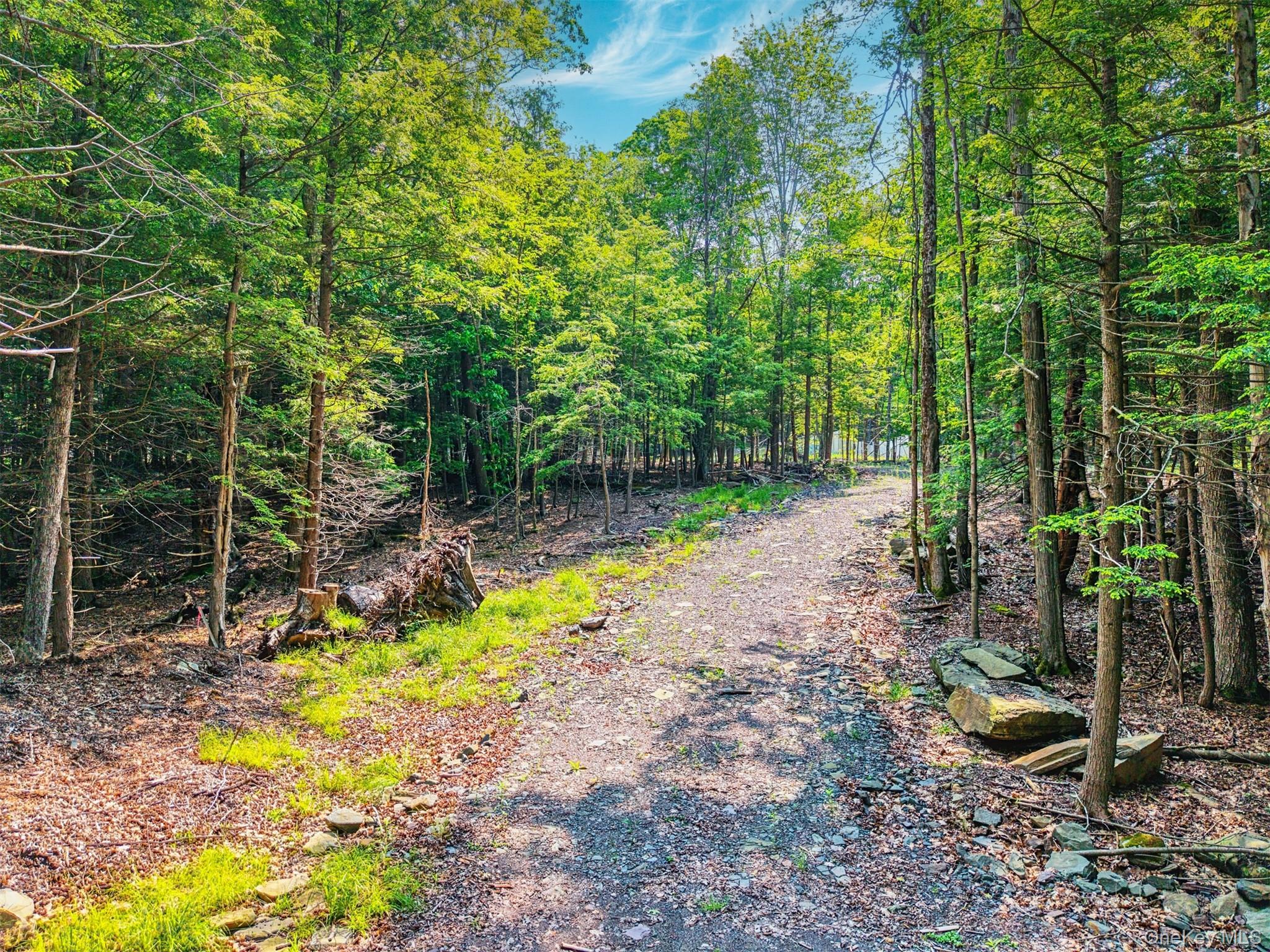 Tbd Boulder Brook Road Windham, NY 12496 - Photo 26 of 46 View of street with a view of trees