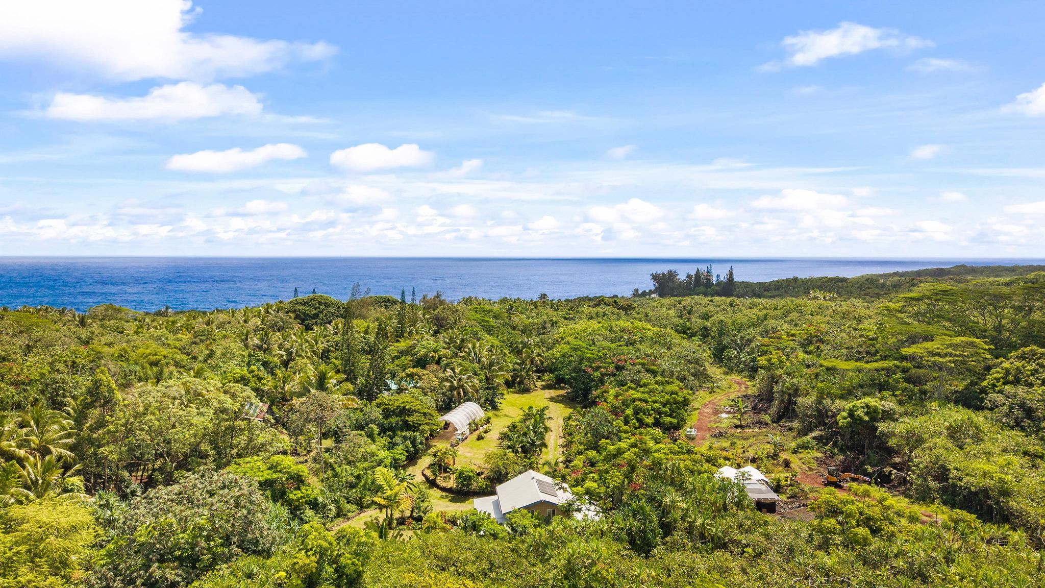 14-3734 Government Beach Road Pahoa, HI 96778 - Photo 25 of 26