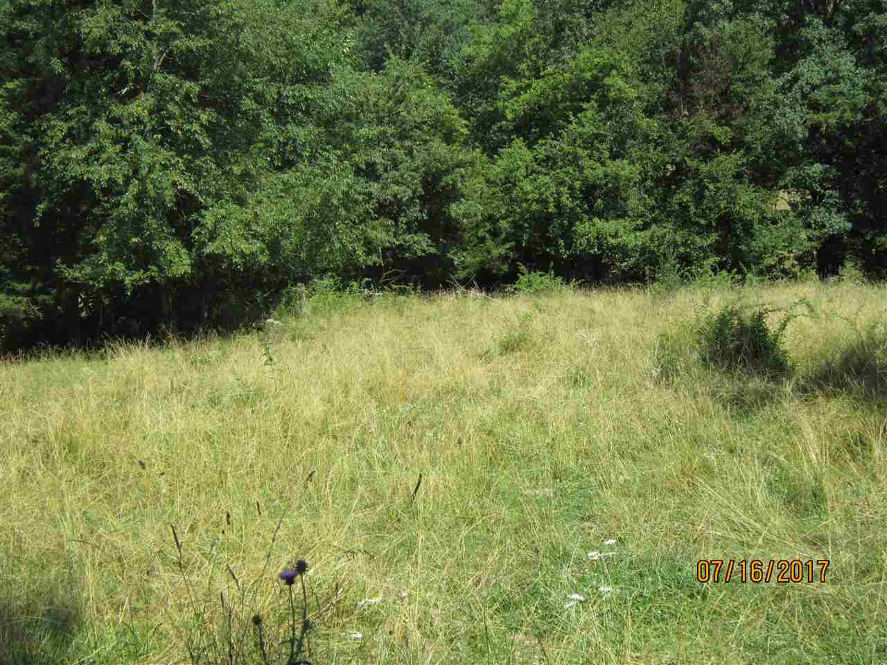 Fischer Road Bernard, IA 52032 - Photo 7 of 24 Gallery Image 7