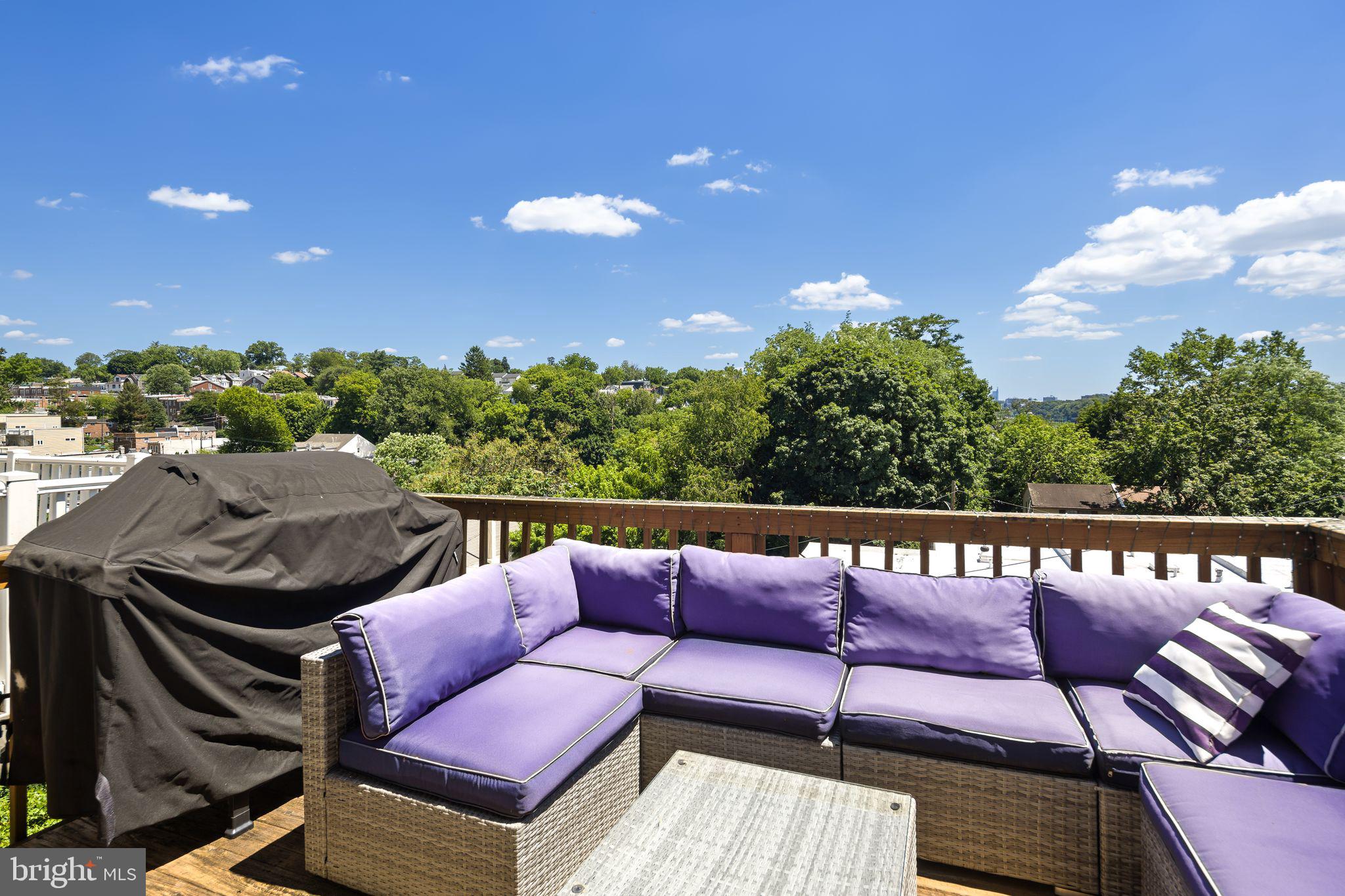 276 Ripka Street Philadelphia, PA 19127 - Photo 16 of 31 Deck