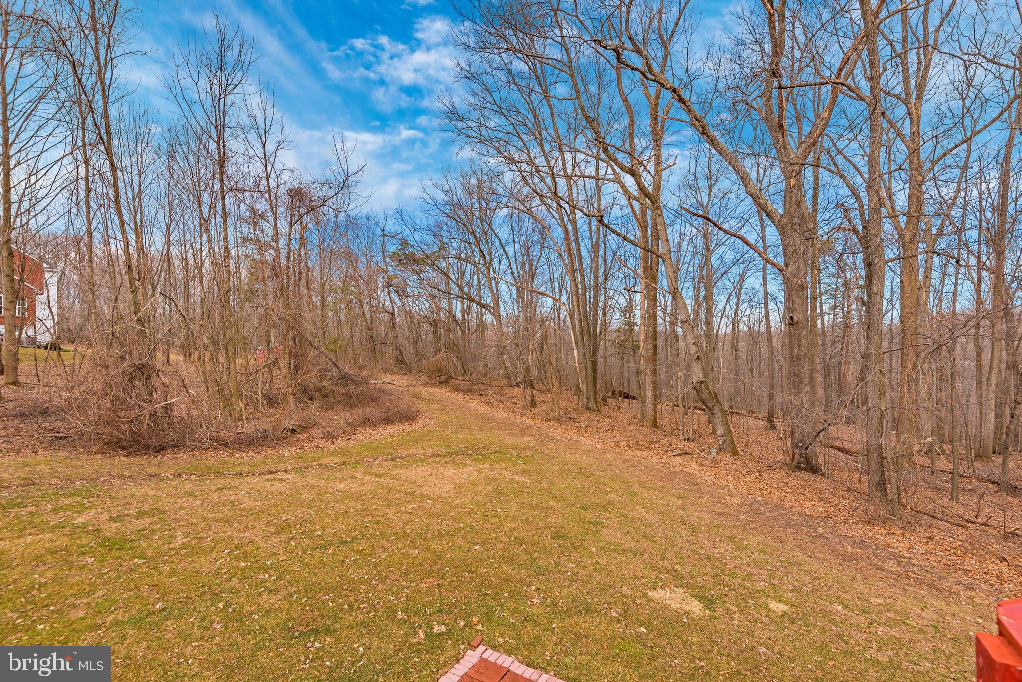10824 Avonlea Ridge Place Damascus, MD 20872 - Photo 47 of 48 Beautiful backyard view