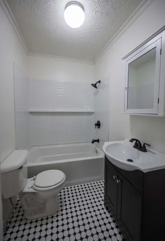 a bathroom with a bathtub shower sink vanity and toilet
