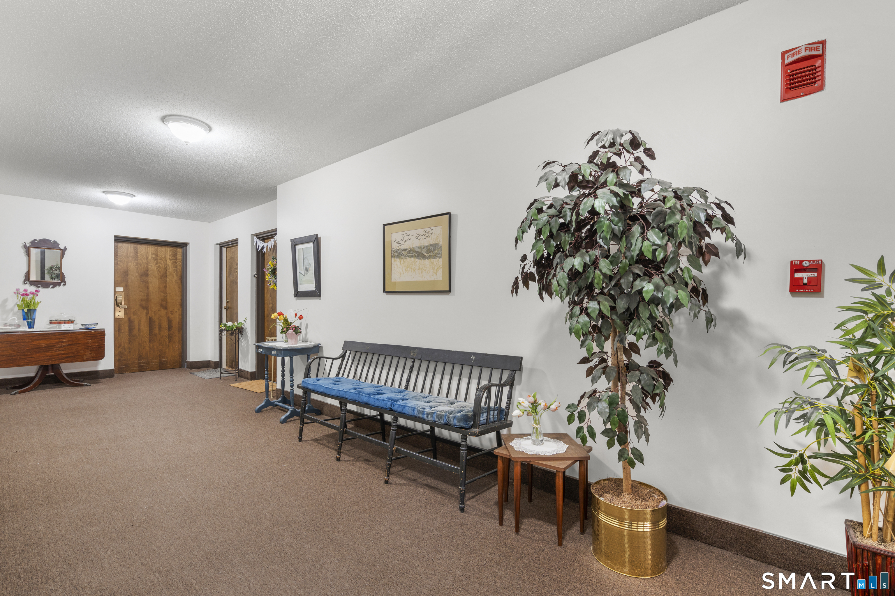 201 College Street, Unit 5 Middletown, CT 06457 - Photo 18 of 30 a living room with furniture and a potted plant