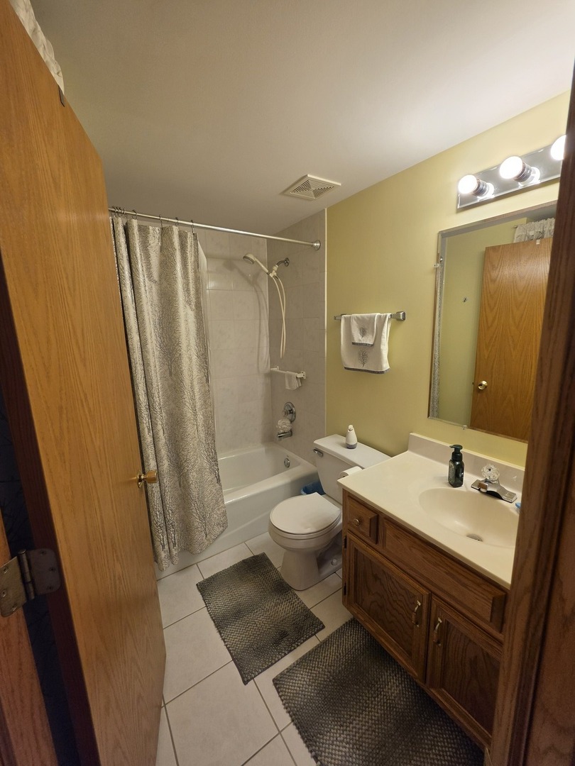 7902 Nagle Avenue, Unit 2S Burbank, IL 60459 - Photo 22 of 24 a bathroom with a sink a toilet and shower