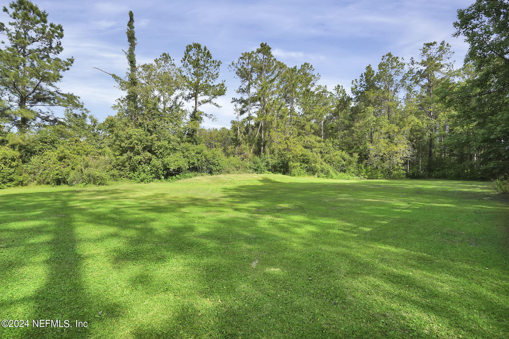 54371 Hazel Jones Road Callahan, FL 32011 - Photo 33 of 36 a backyard of a house with lots of green space