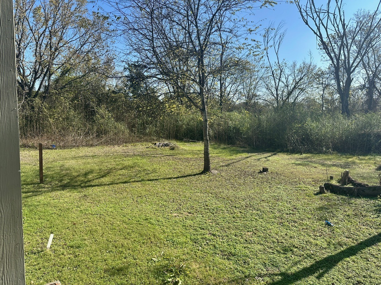 109 Foreman Trinity, TX 75862 - Photo 17 of 17 a view of a field with a tree