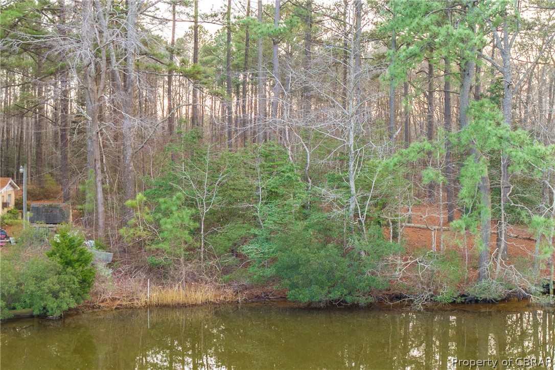 Lot 21-15 Hicks Road Hudgins, VA 23076 - Photo 30 of 50