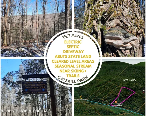 $192,000 | Tbd Rider Hollow Road, Arkville, NY 12406