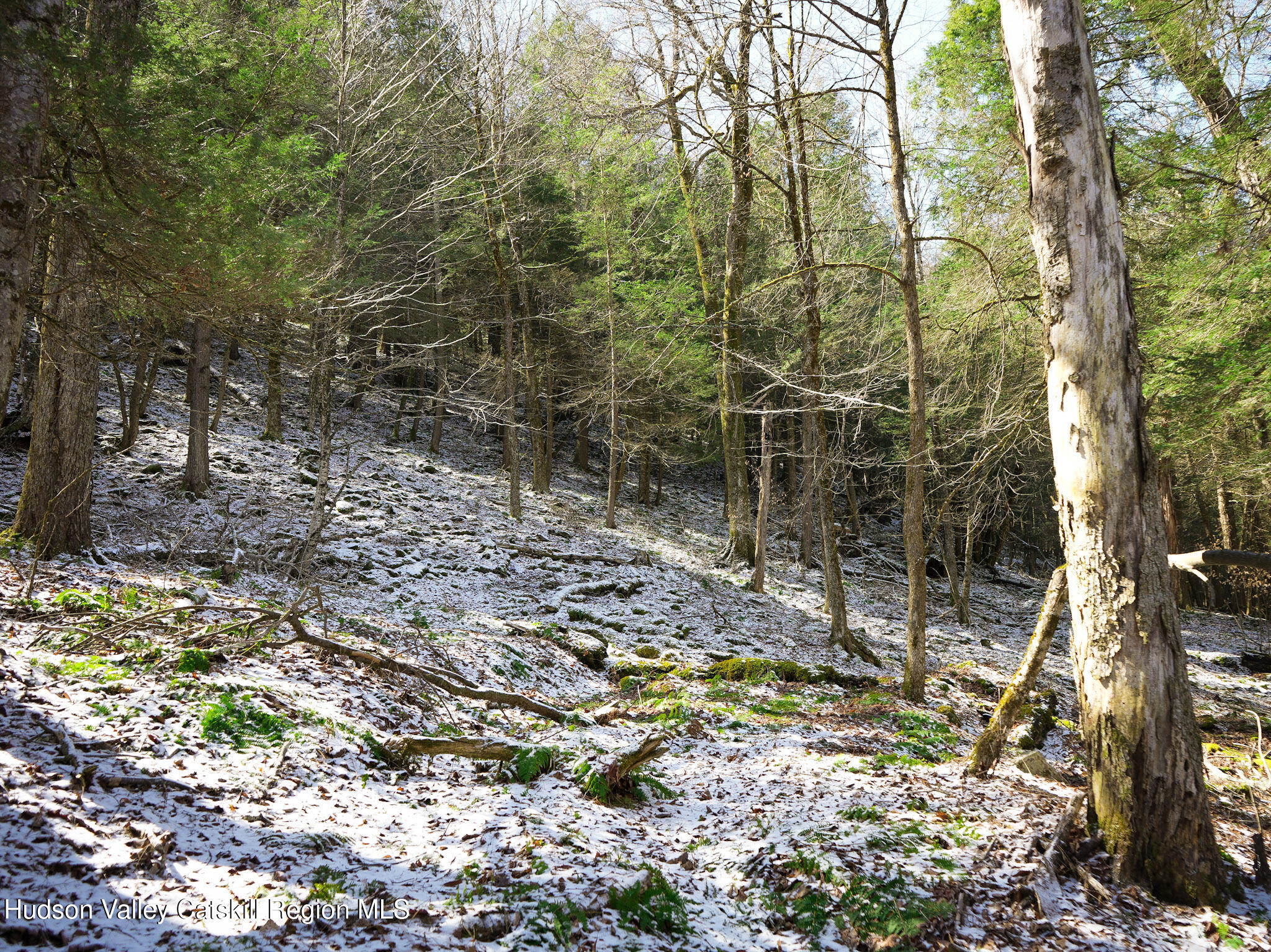 Tbd Rider Hollow Road Arkville, NY 12406 - Photo 11 of 32 Copy of 3-DSC00534