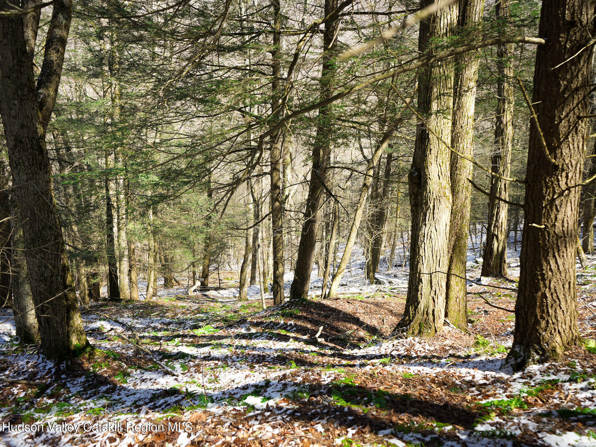Tbd Rider Hollow Road Arkville, NY 12406 - Photo 12 of 32 Copy of 4-DSC00537