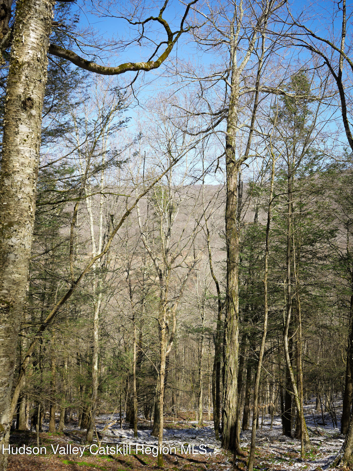 Tbd Rider Hollow Road Arkville, NY 12406 - Photo 13 of 32 Copy of 6-DSC00540