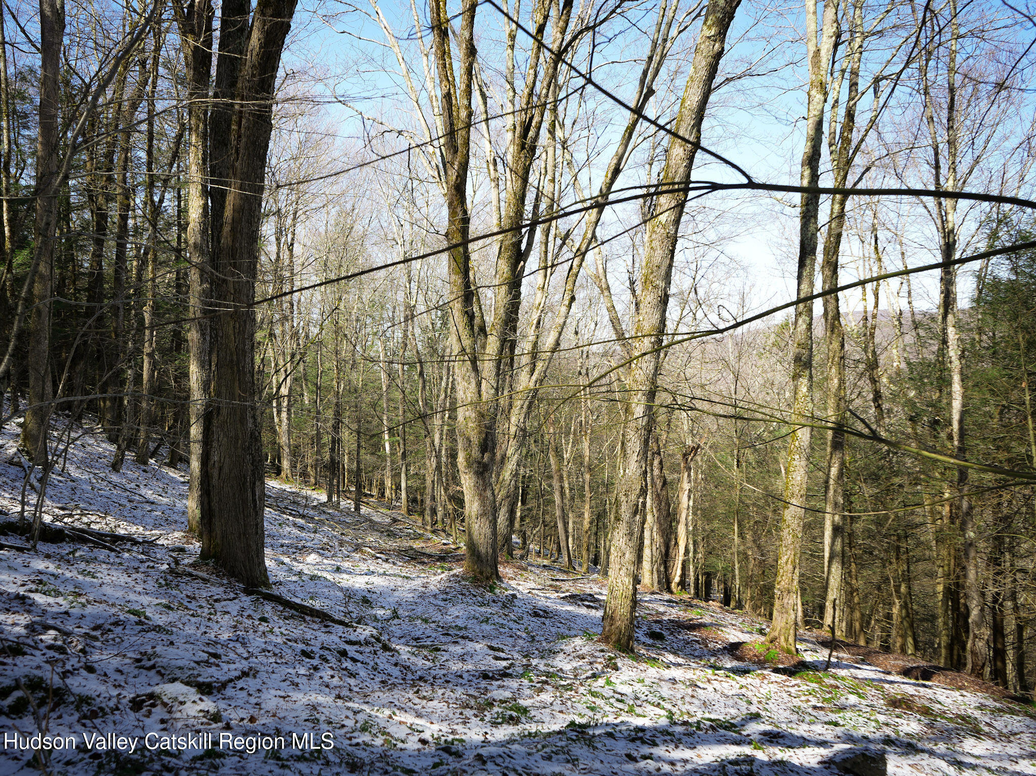 Tbd Rider Hollow Road Arkville, NY 12406 - Photo 14 of 32 Copy of 15-DSC00553