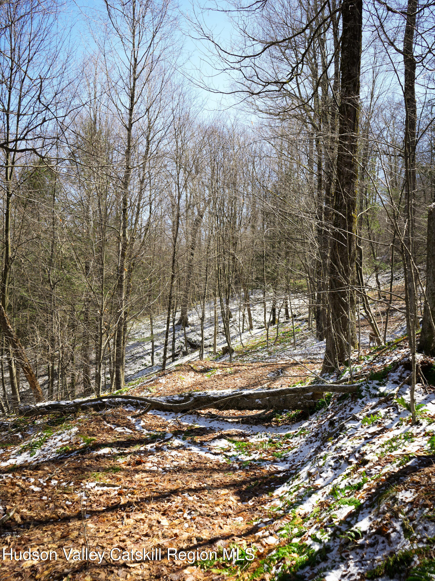 Tbd Rider Hollow Road Arkville, NY 12406 - Photo 18 of 32 Copy of 21-DSC00561