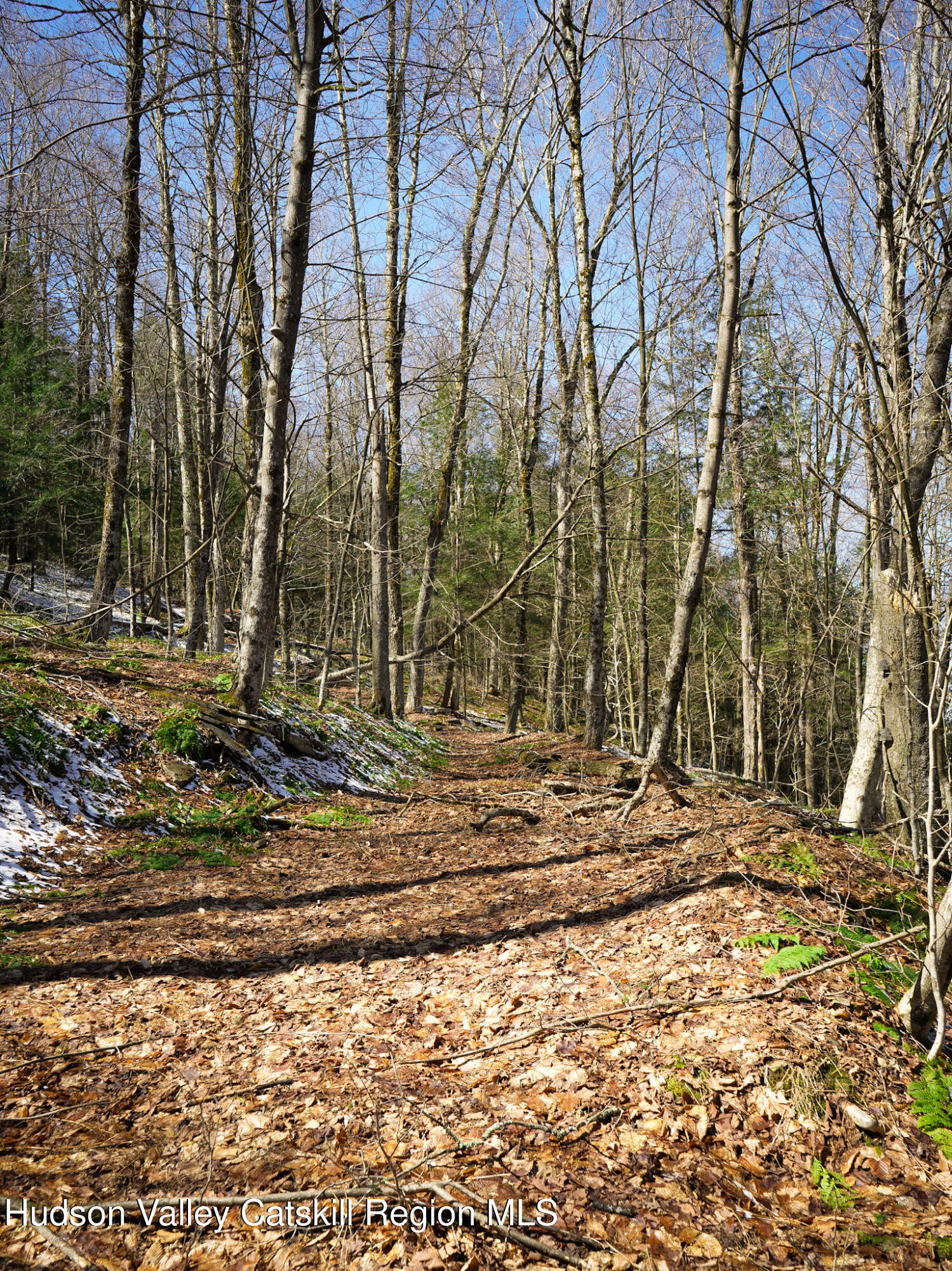 Tbd Rider Hollow Road Arkville, NY 12406 - Photo 19 of 32 Copy of 22-DSC00562