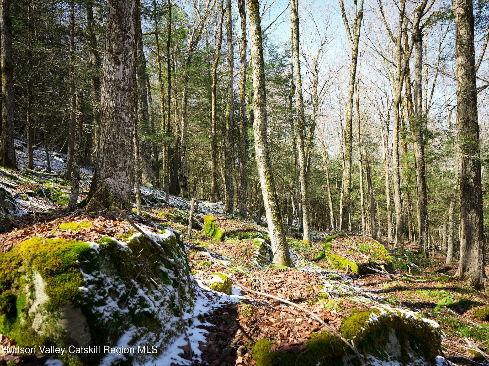Tbd Rider Hollow Road Arkville, NY 12406 - Photo 20 of 32 Copy of 31-DSC00572