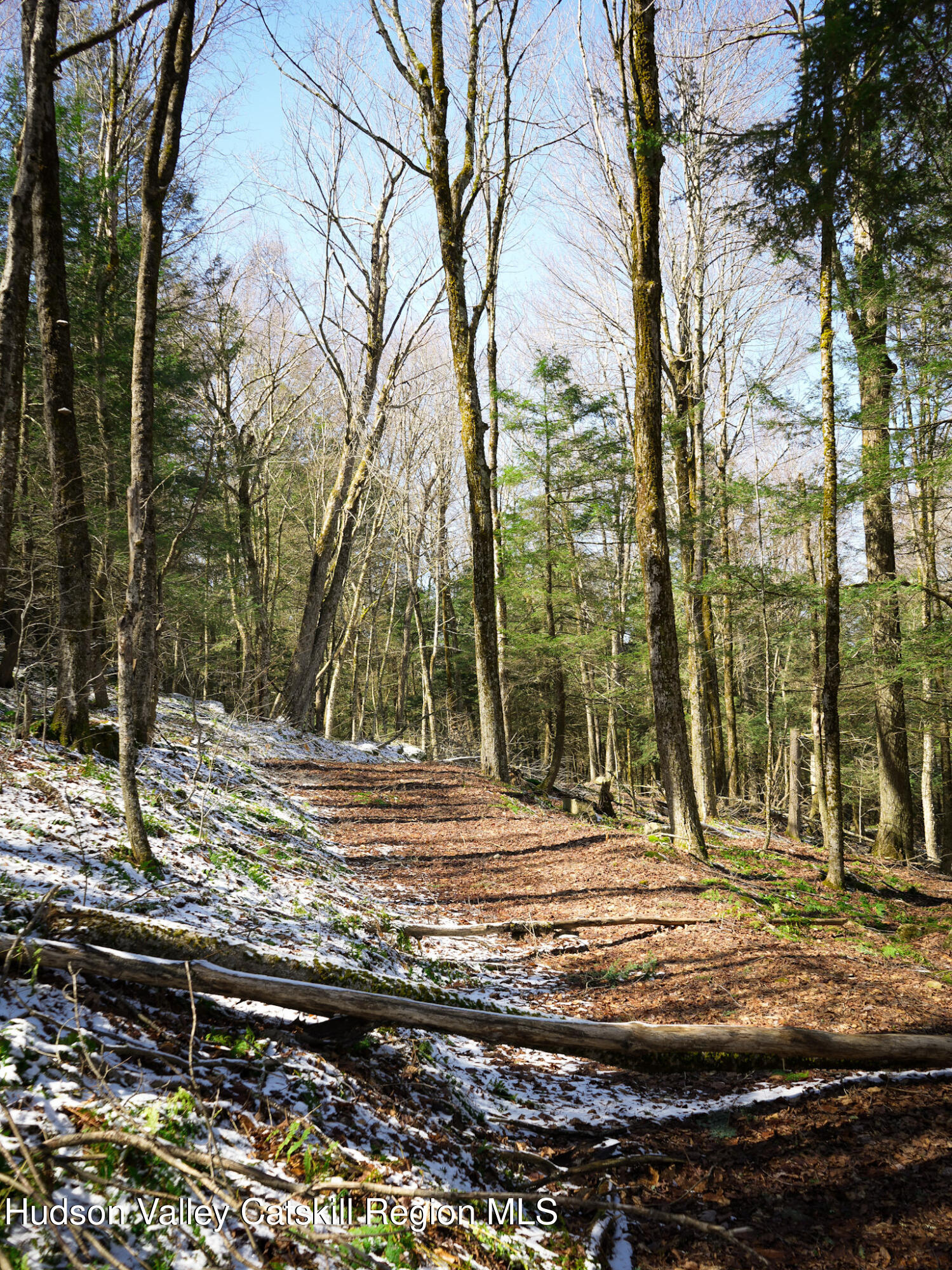 Tbd Rider Hollow Road Arkville, NY 12406 - Photo 21 of 32 Copy of 32-DSC00573