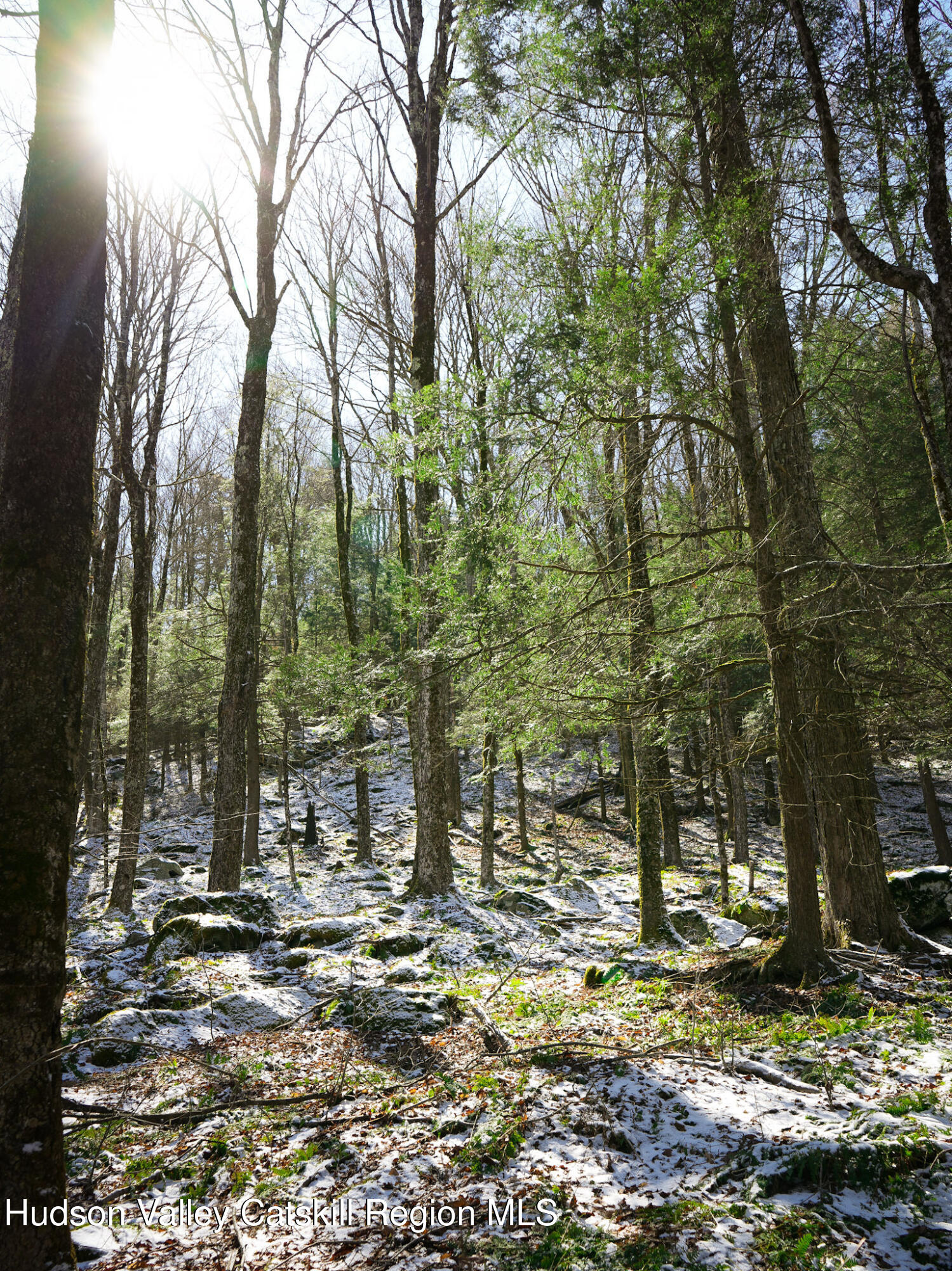 Tbd Rider Hollow Road Arkville, NY 12406 - Photo 22 of 32 Copy of 33-DSC00574