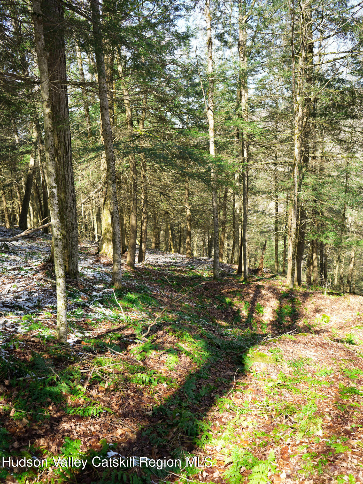 Tbd Rider Hollow Road Arkville, NY 12406 - Photo 23 of 32 Copy of 35-DSC00576