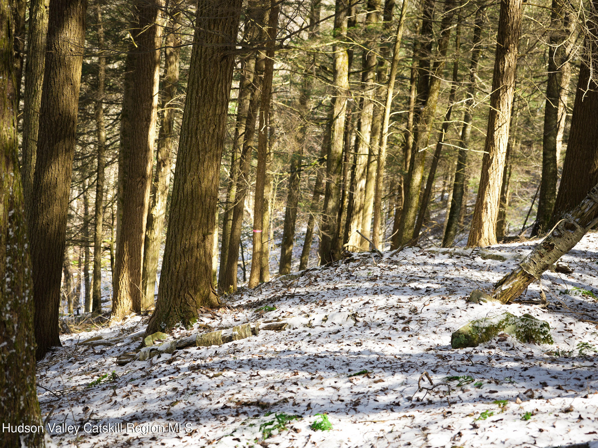 Tbd Rider Hollow Road Arkville, NY 12406 - Photo 25 of 32 Copy of 42-DSC00585