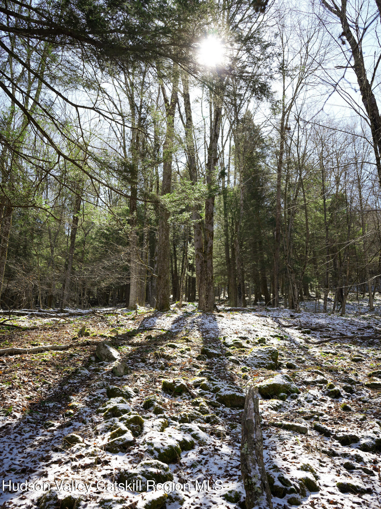Tbd Rider Hollow Road Arkville, NY 12406 - Photo 26 of 32 Copy of 46-DSC00591