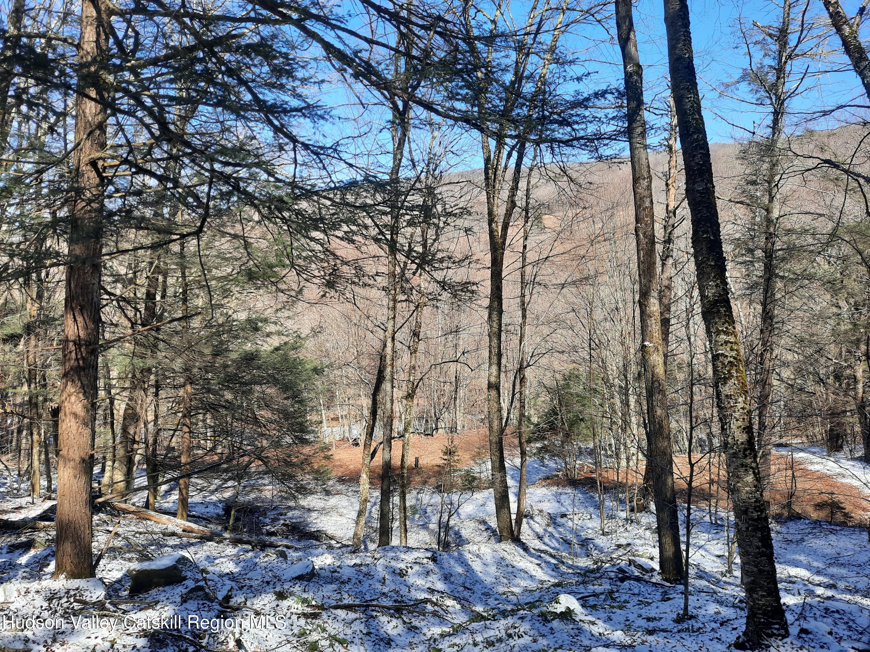 Tbd Rider Hollow Road Arkville, NY 12406 - Photo 28 of 32 20260324_115603