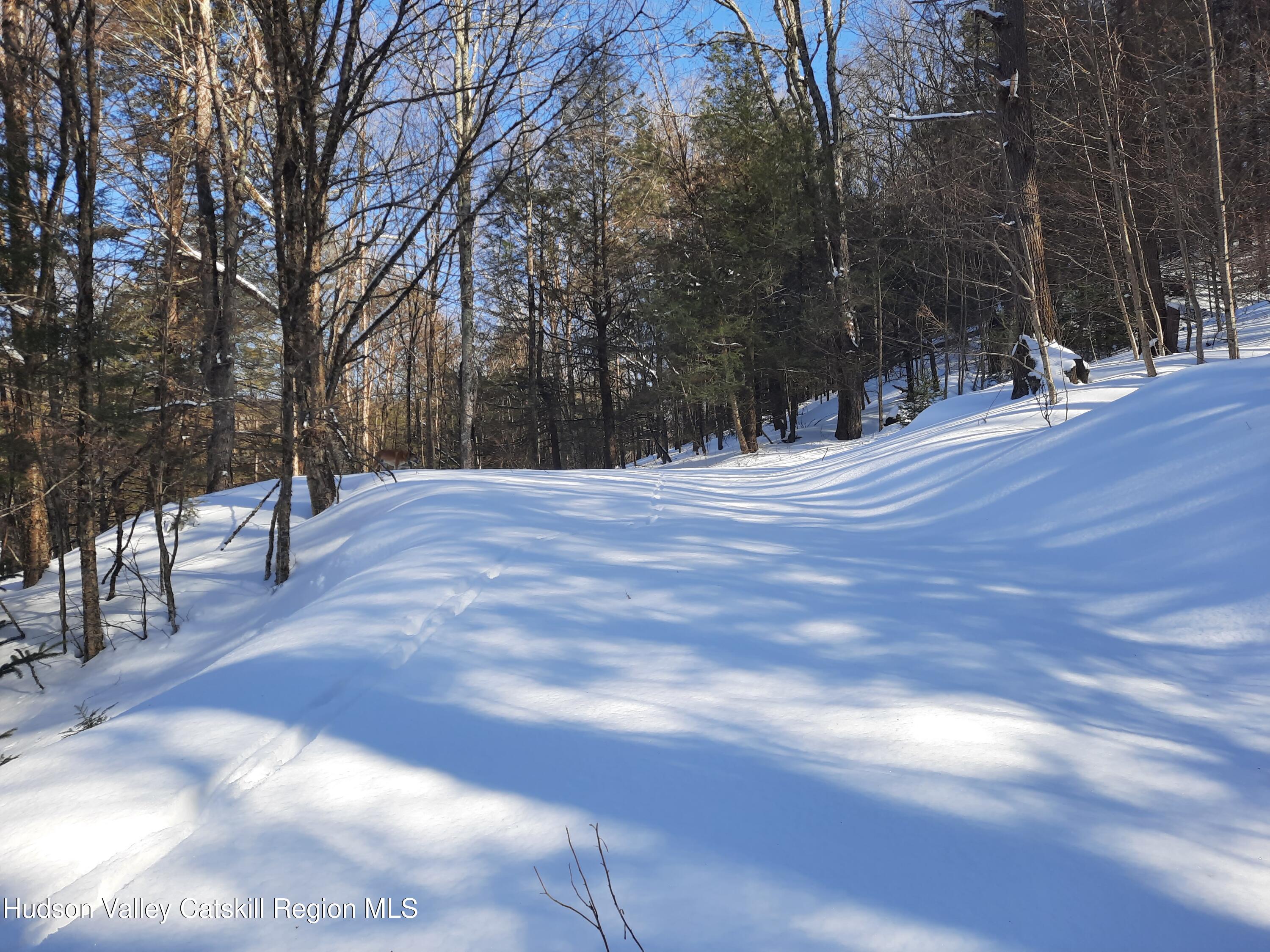 Tbd Rider Hollow Road Arkville, NY 12406 - Photo 29 of 32 20260227_135106