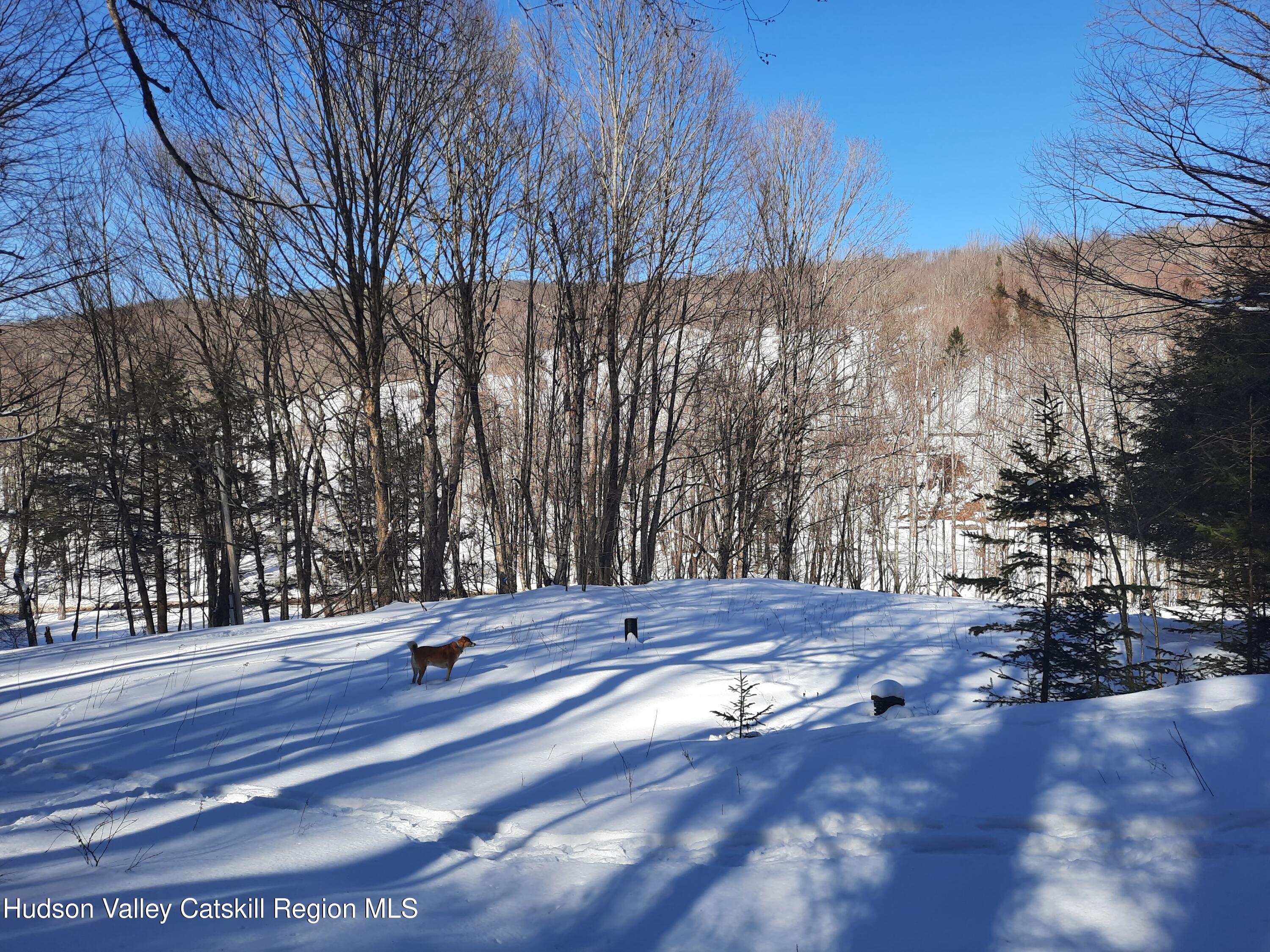Tbd Rider Hollow Road Arkville, NY 12406 - Photo 30 of 32 20260227_135702