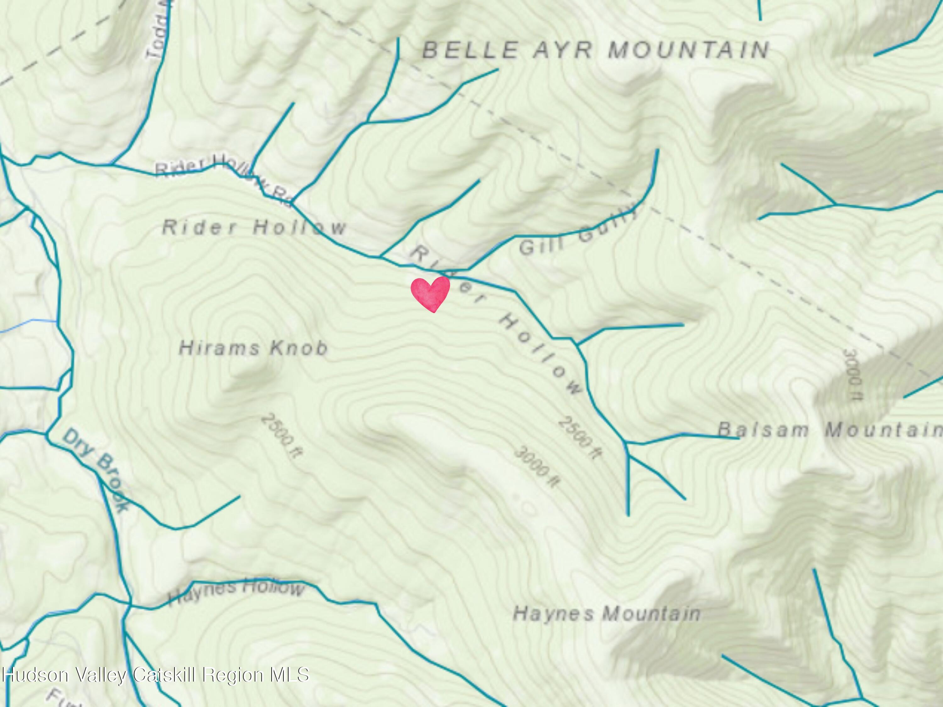 Tbd Rider Hollow Road Arkville, NY 12406 - Photo 3 of 32 topo