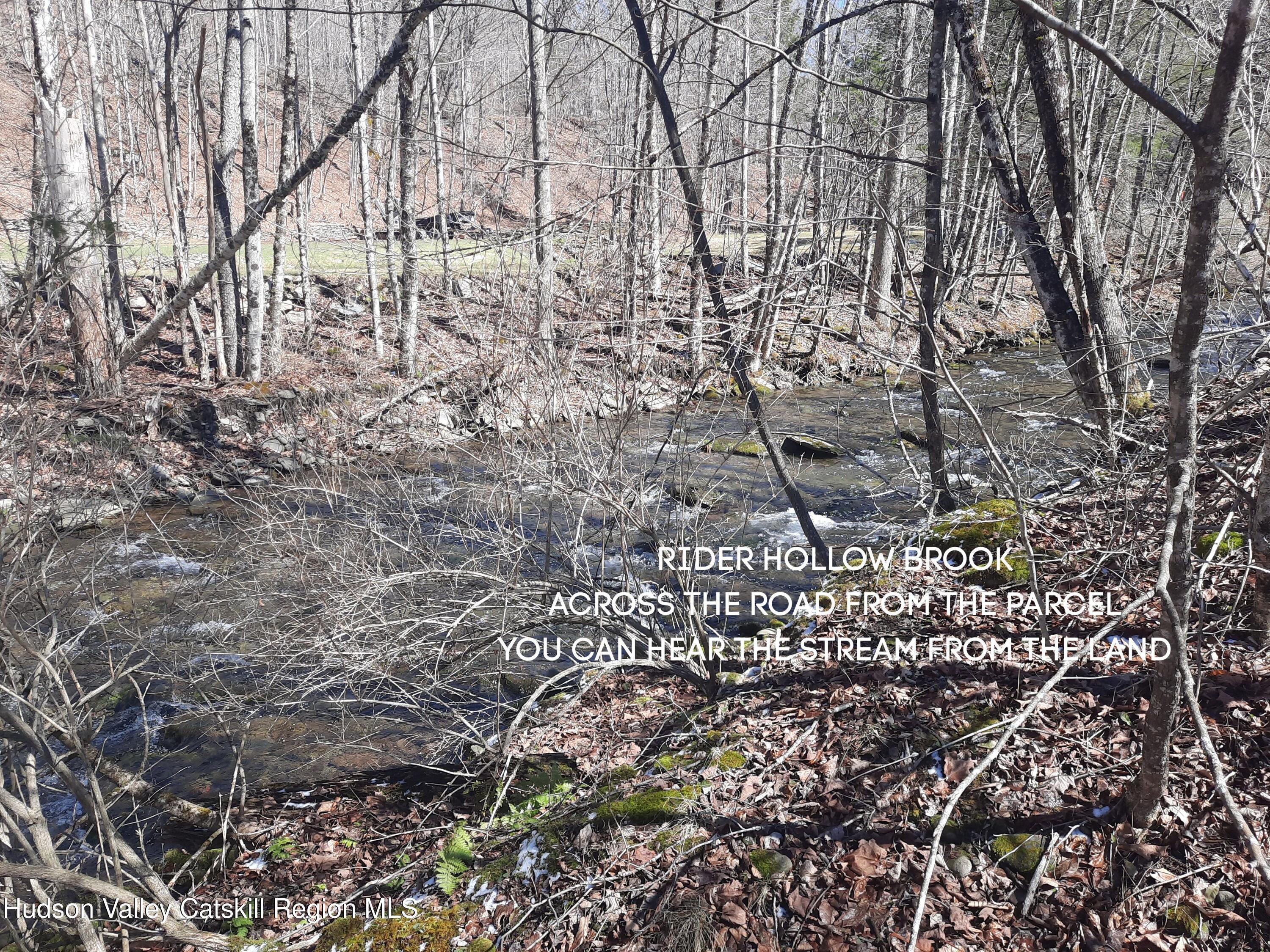 Tbd Rider Hollow Road Arkville, NY 12406 - Photo 32 of 32 Rider Hollow Brook