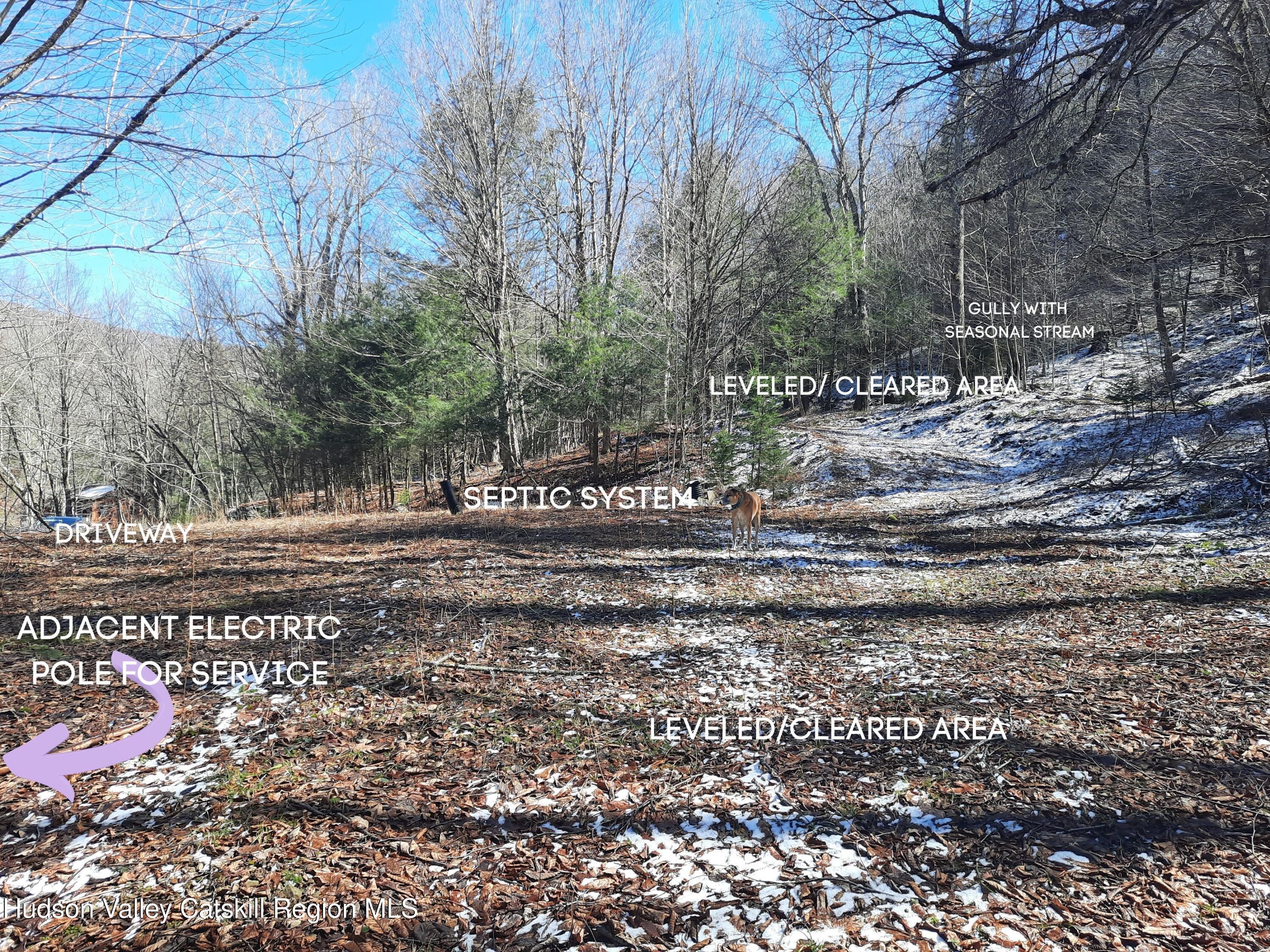 Tbd Rider Hollow Road Arkville, NY 12406 - Photo 4 of 32 parcel map