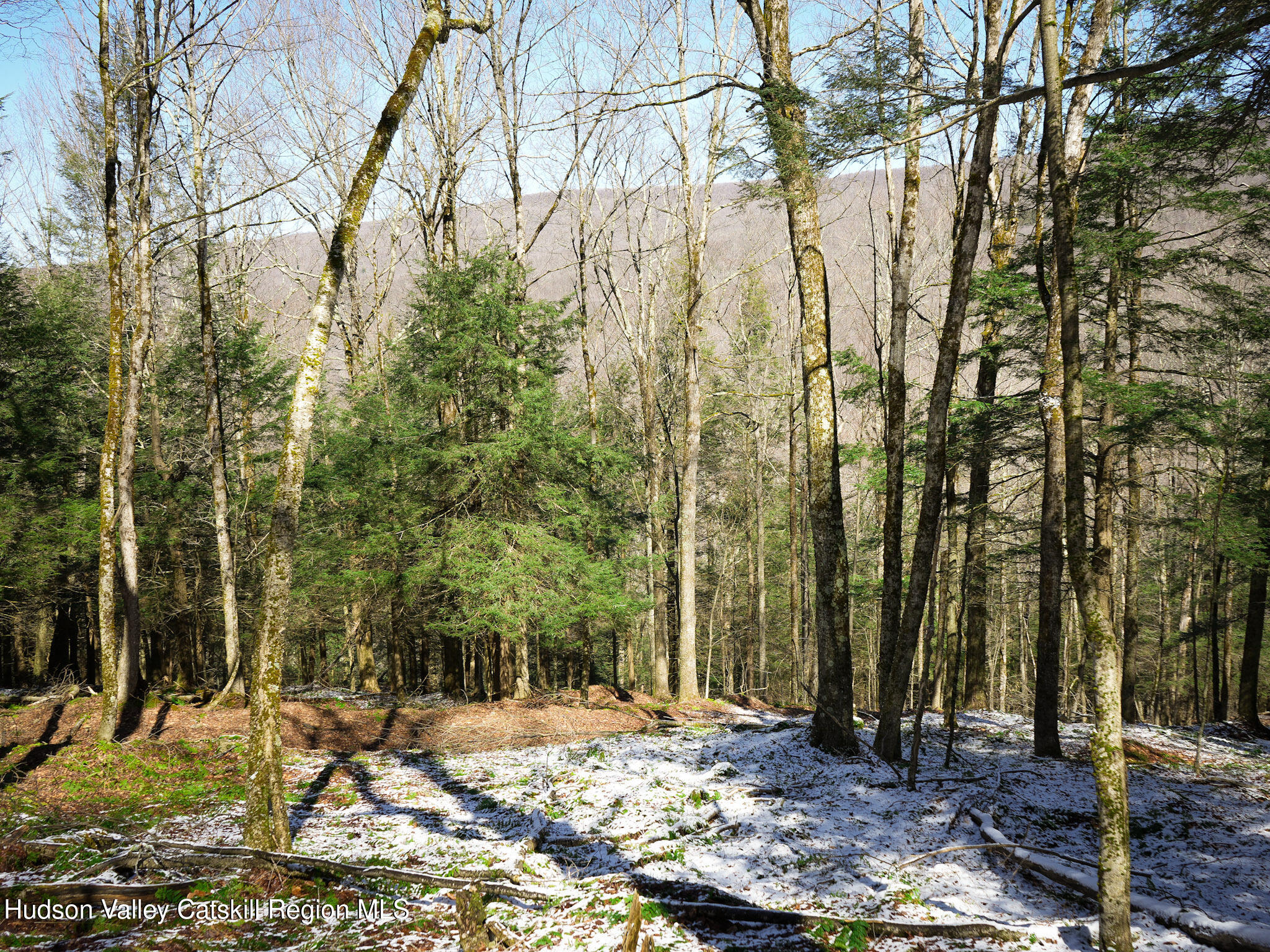 Tbd Rider Hollow Road Arkville, NY 12406 - Photo 5 of 32 Copy of 30-DSC00571