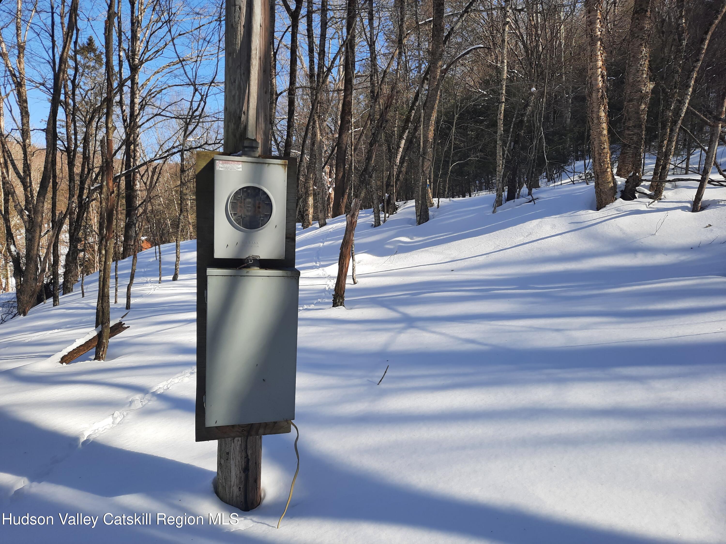 Tbd Rider Hollow Road Arkville, NY 12406 - Photo 6 of 32 20260227_134827