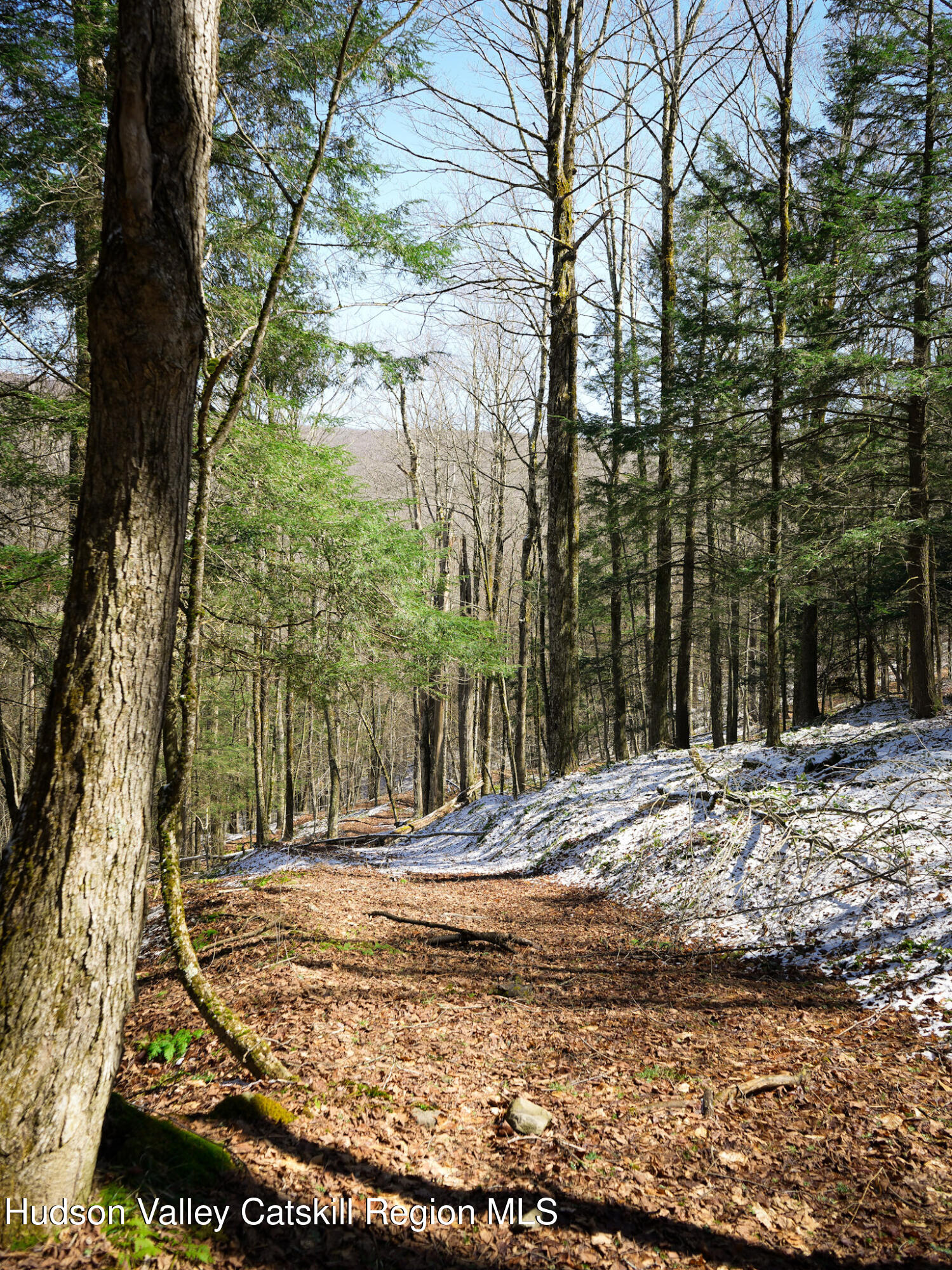 Tbd Rider Hollow Road Arkville, NY 12406 - Photo 8 of 32 Copy of 34-DSC00575