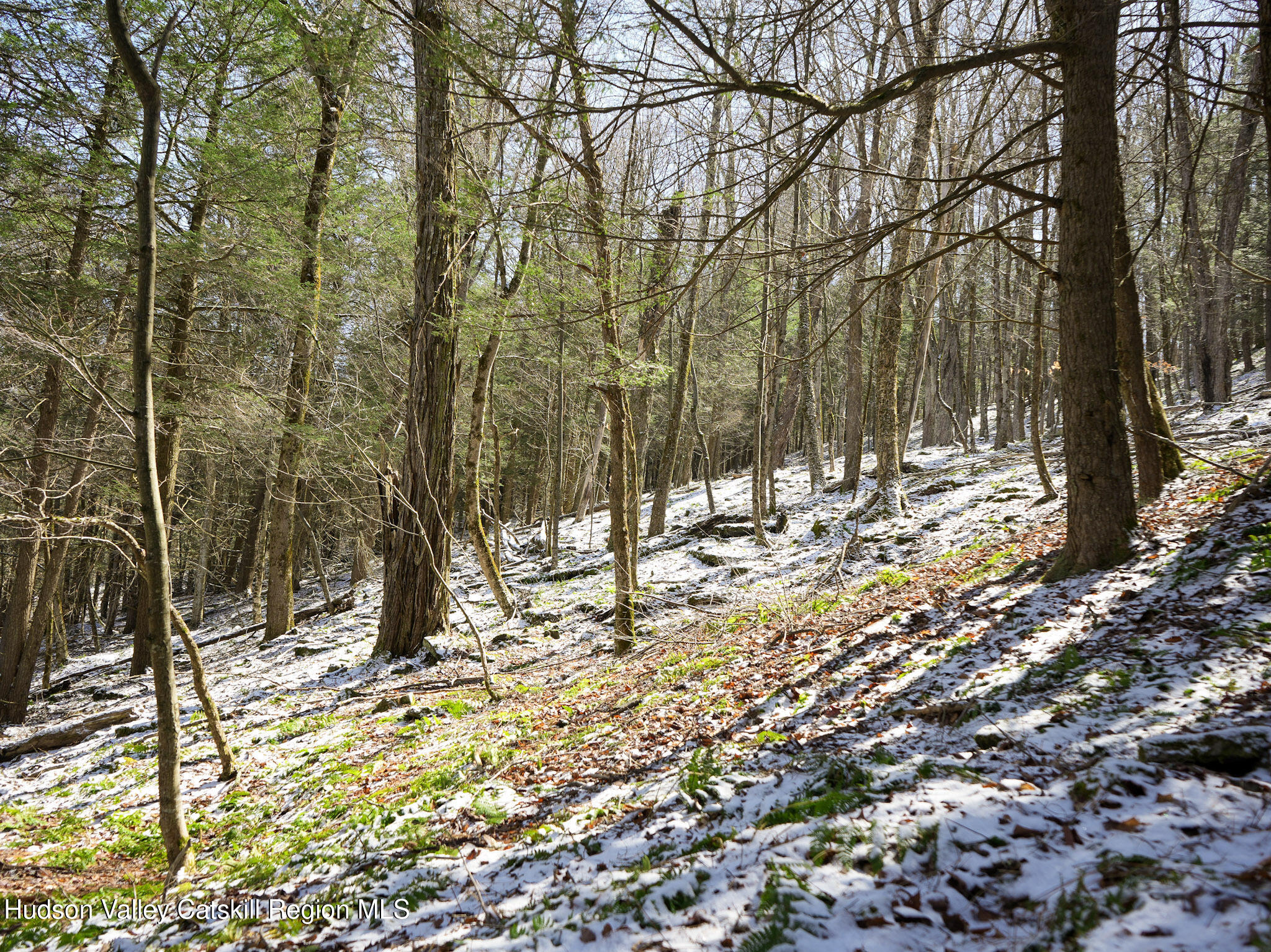 Tbd Rider Hollow Road Arkville, NY 12406 - Photo 9 of 32 Copy of 1-DSC00529