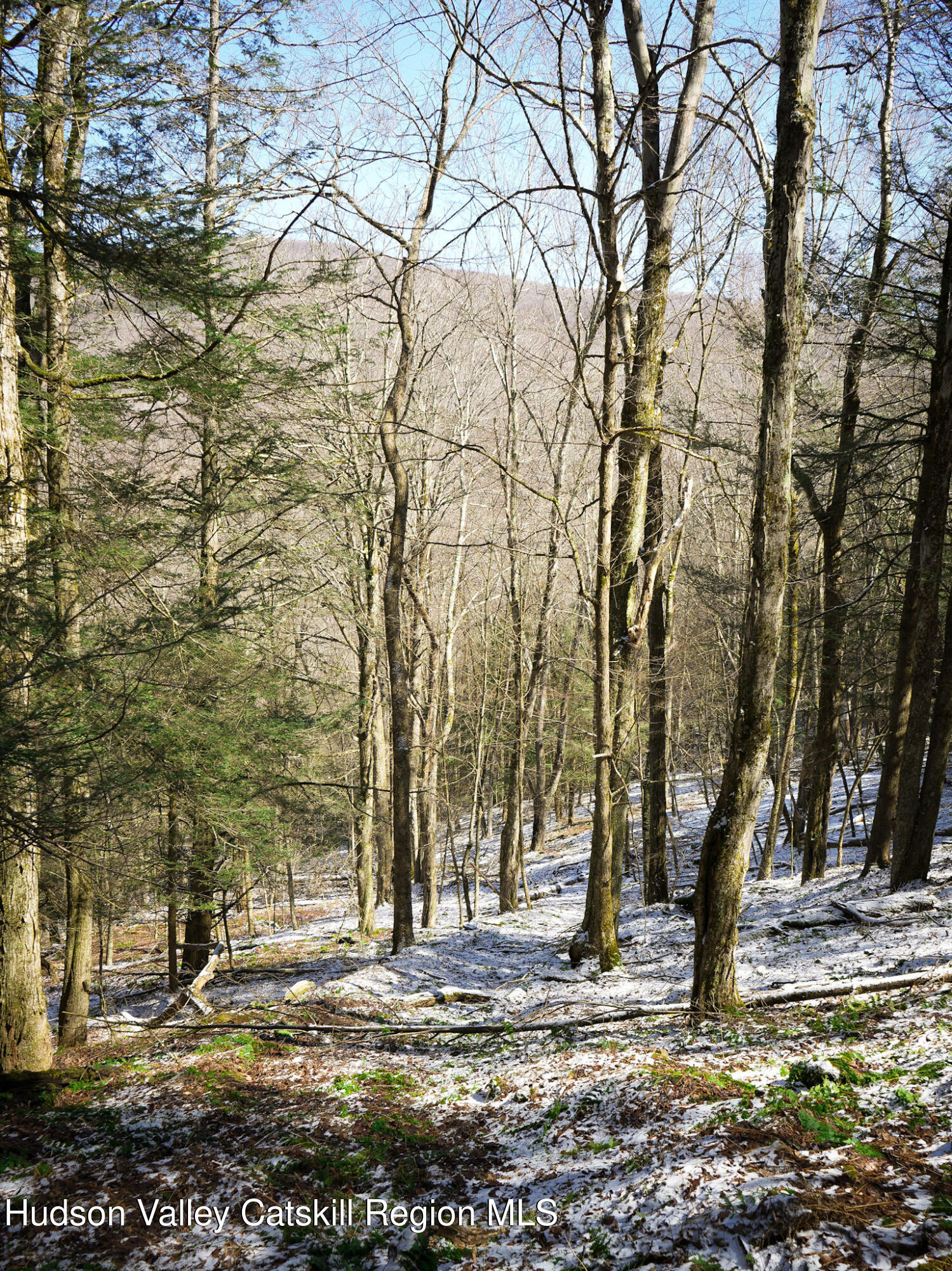 Tbd Rider Hollow Road Arkville, NY 12406 - Photo 10 of 32 Copy of 2-DSC00532