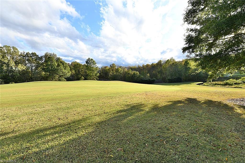 216 Sycamore Ridge Drive Bermuda Run, NC 27006 - Photo 22 of 22 Gallery Image 22