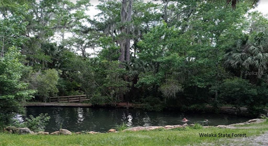 Susan Street Interlachen, FL 32148 - Photo 15 of 17