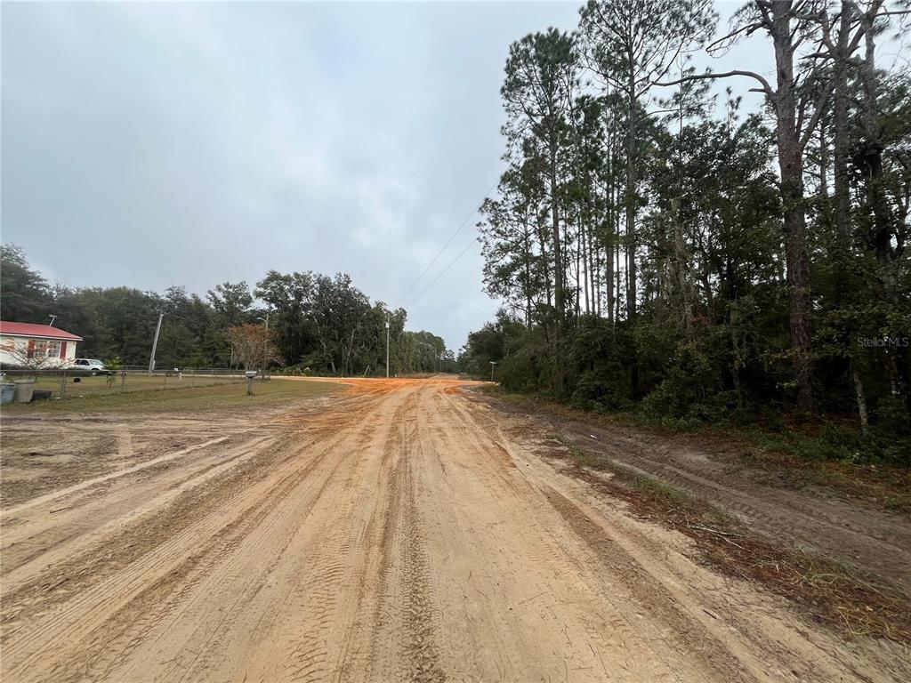 Susan Street Interlachen, FL 32148 - Photo 2 of 17